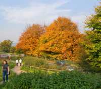 October: Chatsworth Estate