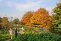 October: Chatsworth Estate