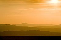 February: View from Delf Road