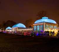 December: Botanical Gardens, Sheffield