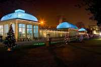 December: Botanical Gardens, Sheffield