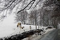 December: Hoar Stones Road, Bradfield
